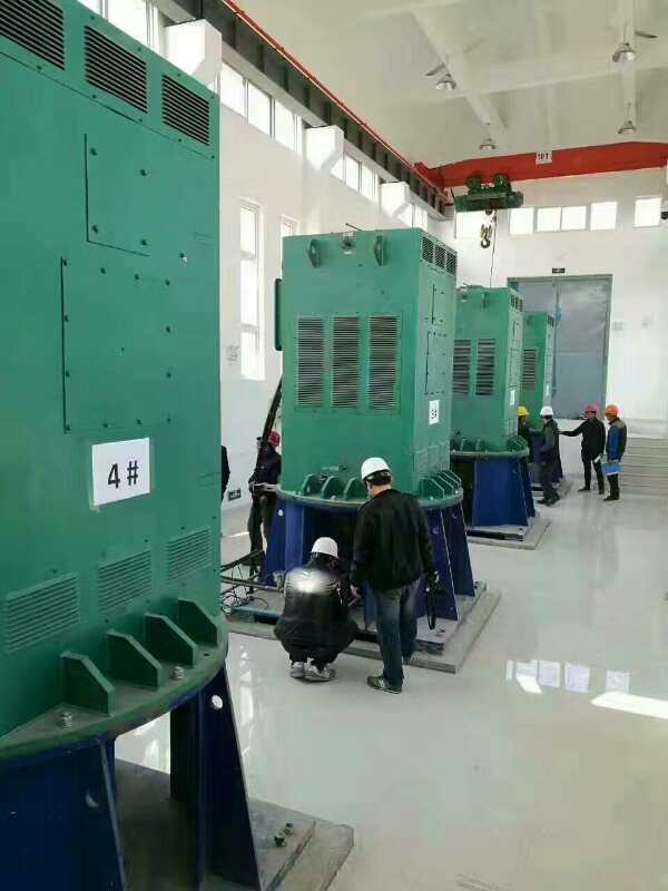 绥棱某污水处理厂使用我厂的立式高压电机安装现场